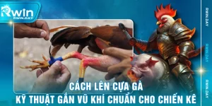 Cách Lên Cựa Gà - Kỹ Thuật Gắn Vũ Khí Chuẩn Cho Chiến Kê