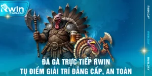 Đá Gà Trực Tiếp RWIN - Tụ Điểm Giải Trí Đẳng Cấp, An Toàn