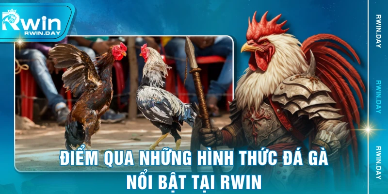 Điểm qua những hình thức đá gà nổi bật tại RWIN