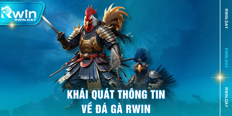 Khái quát thông tin về đá gà RWIN