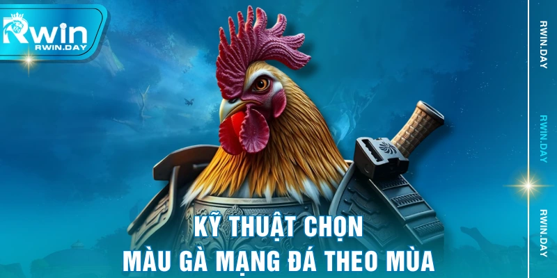 Kỹ thuật chọn màu gà mạng đá theo mùa