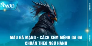 Màu Gà Mạng - Cách Xem Mệnh Gà Đá Chuẩn Theo Ngũ Hành