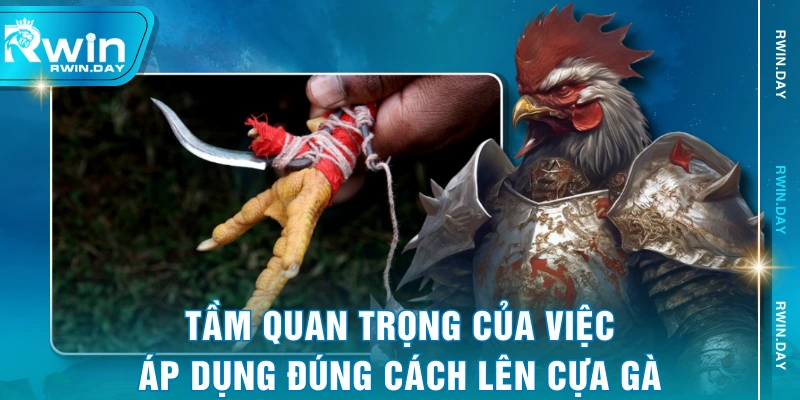 Tầm quan trọng của việc áp dụng đúng cách lên cựa gà